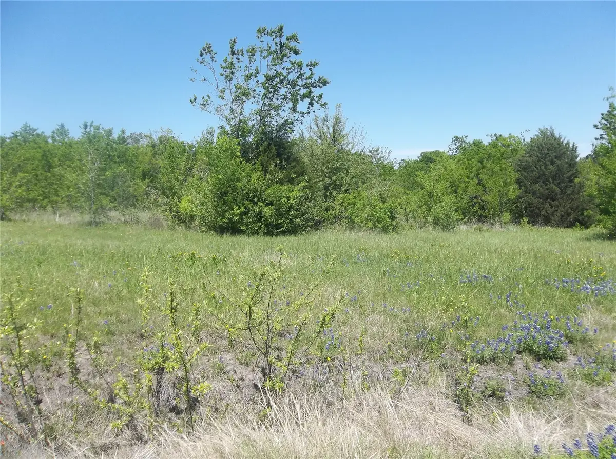 3 Acres S Hwy 287, Corsicana, TX 75109 - #1