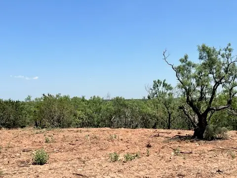 106 Cr 584, Abilene, TX 79606 - #3