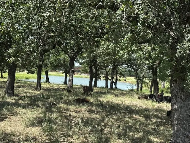 10400 Lipan Highway, Lipan, TX 76462 - #3