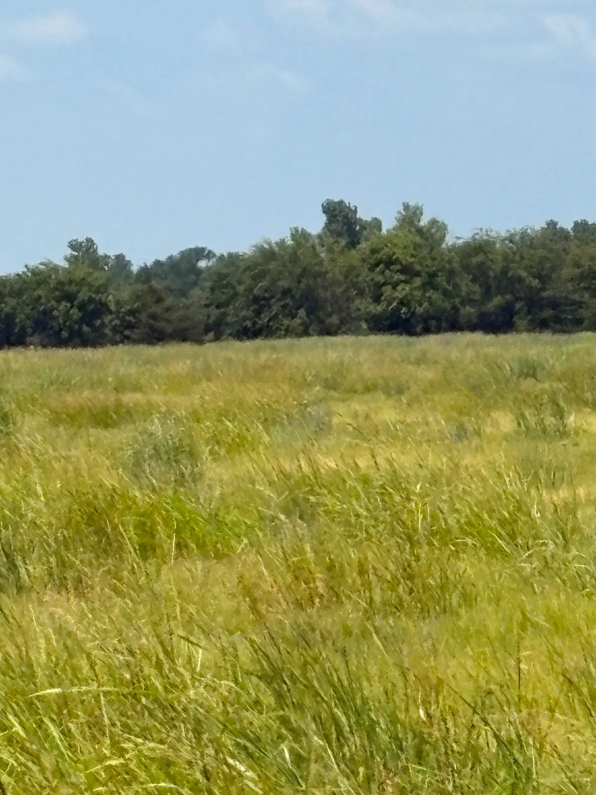 TBD County Road 3020, Bonham, TX 75418 - #1