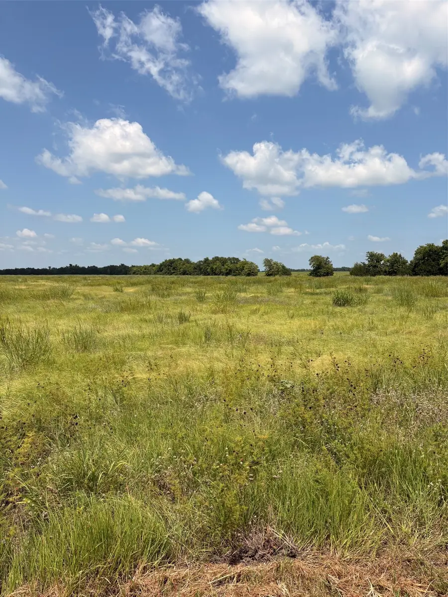 TBD County Road 3020, Bonham, TX 75418 - #3