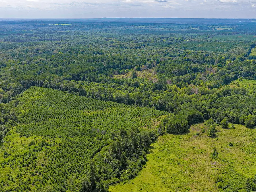 TBD County Road 276, Nacogdoches, TX 75961 - #3