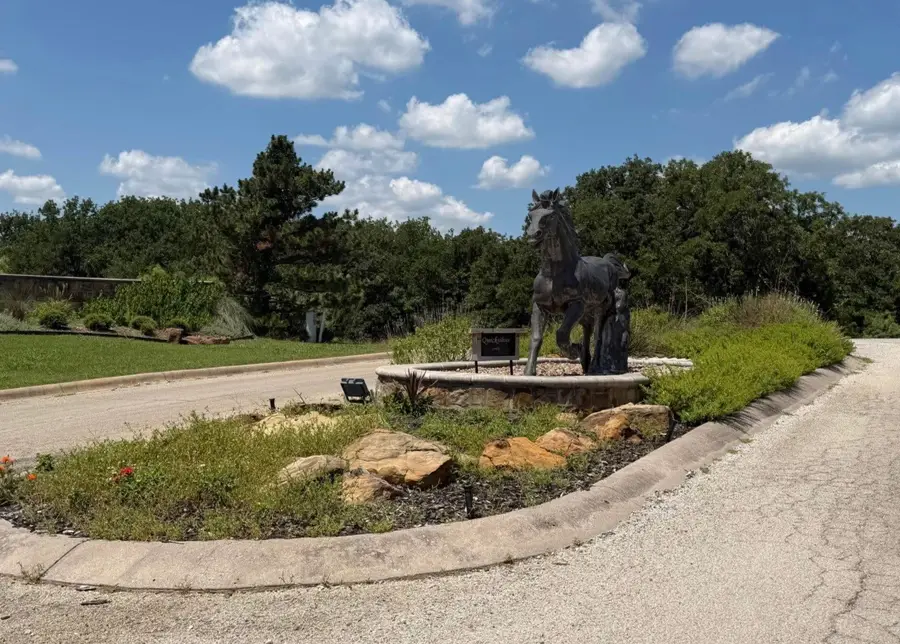 118 Elm Cove, Sunset, TX 76270 - #3
