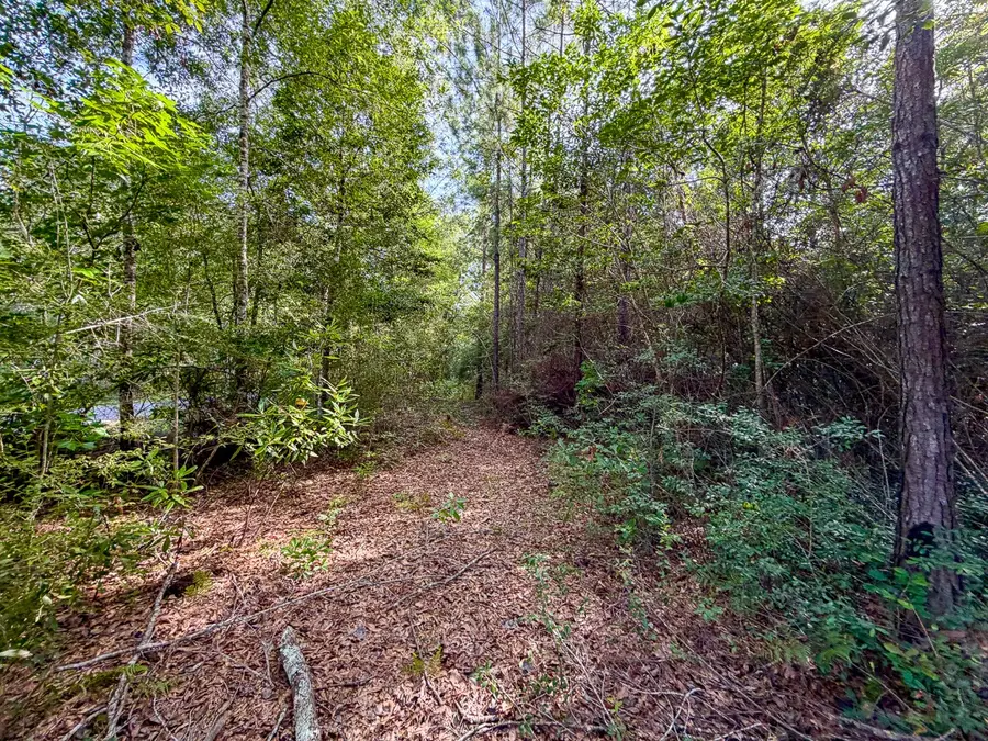 08 Fm 787, Saratoga, TX 77585 - #3