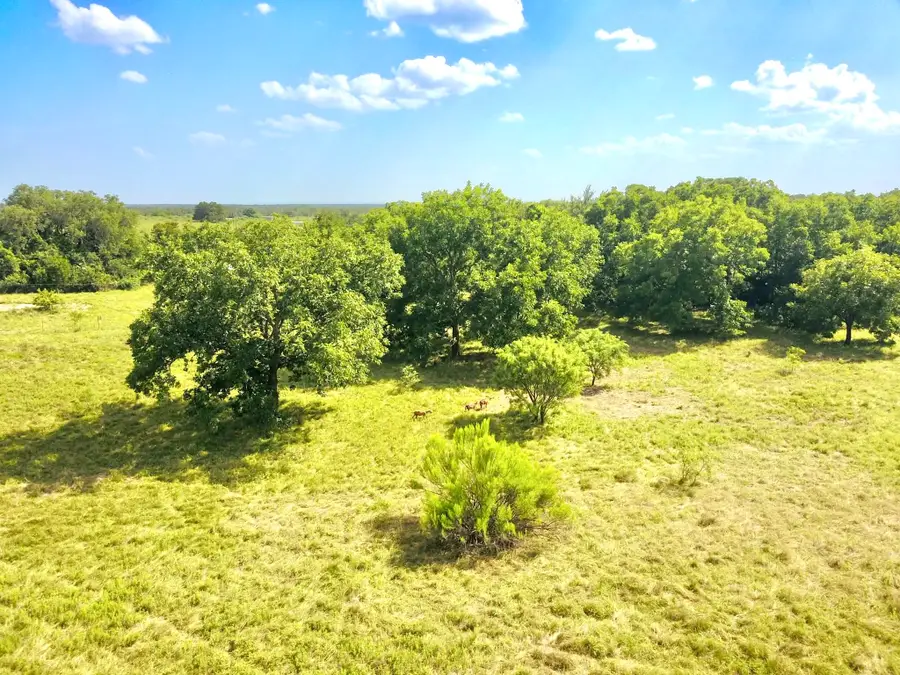 82 State Highway 16 S, Goldthwaite, TX 76844 - #3