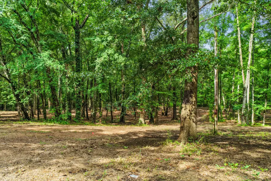 133 Sandy Lake, Scroggins, TX 75480 - #3