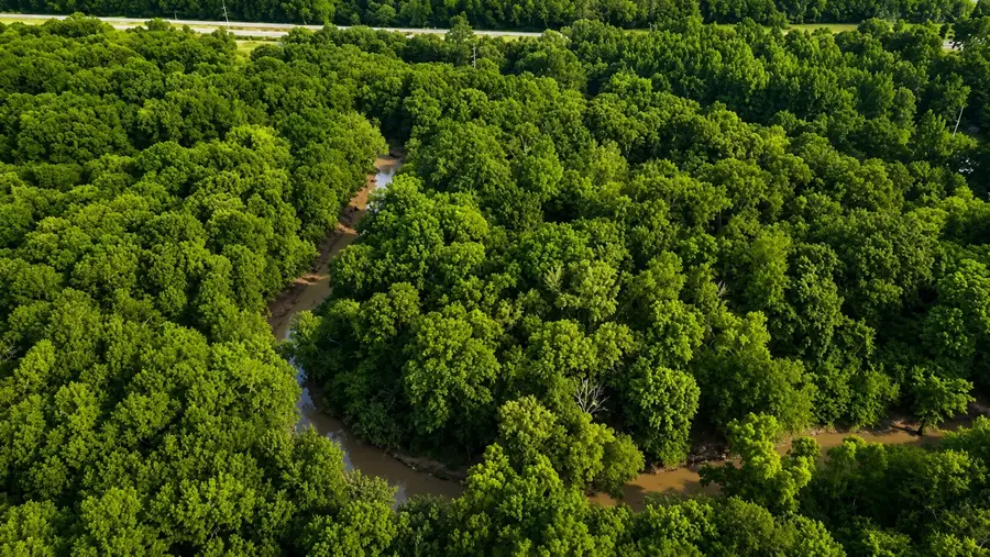 TBD W Hwy 80, Mineola, TX 75773 - #3
