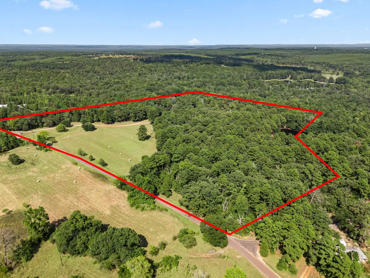 1081 County Road 3875, Mineola, TX 75773 - #1