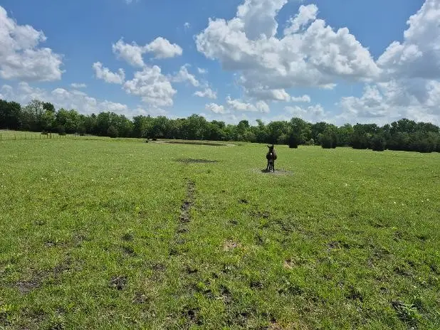 9561 N Tx-50 Highway, Ladonia, TX 75449 - #3