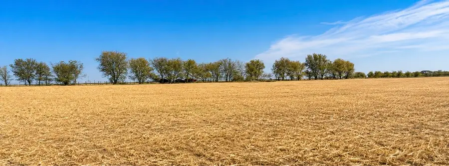 4411 Tbd Hcr, Grandview, TX 76050 - #2