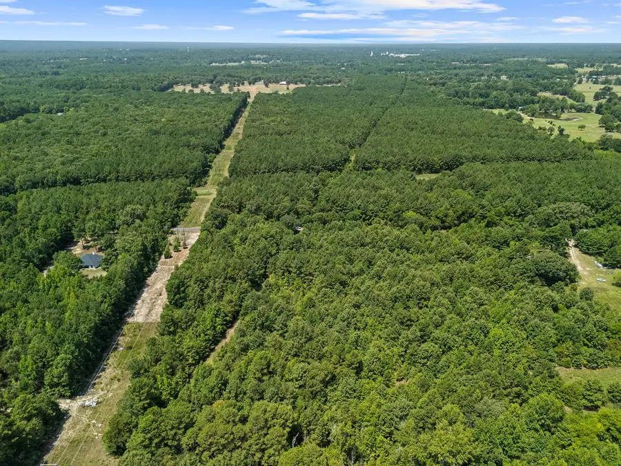 TBD Lindsey Road, Big Sandy, TX 75755 - #3