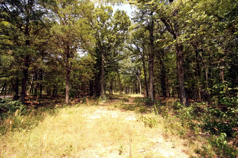 10 County Road 2263, Valley View, TX 76272 - #3