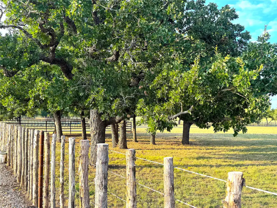 10670 N Highway 281, Perrin, TX 76486 - #2