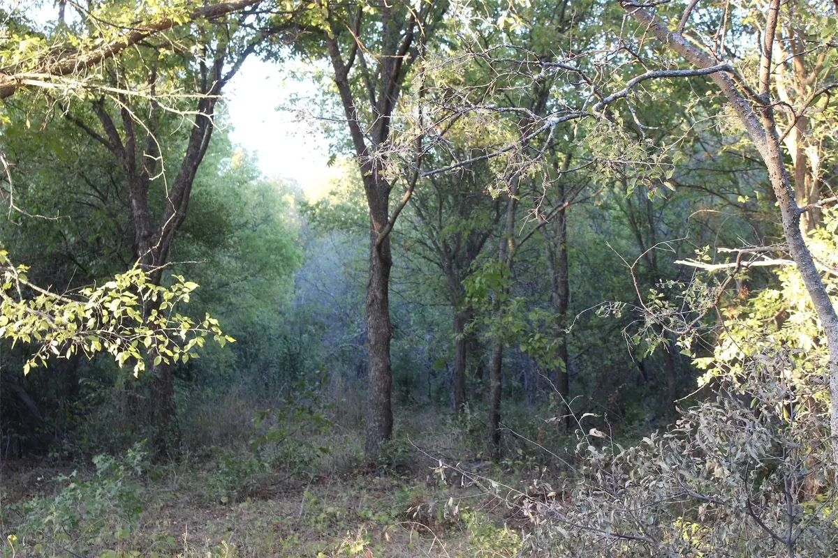 000 Eureka School Road, Nocona, TX 76255 - #1