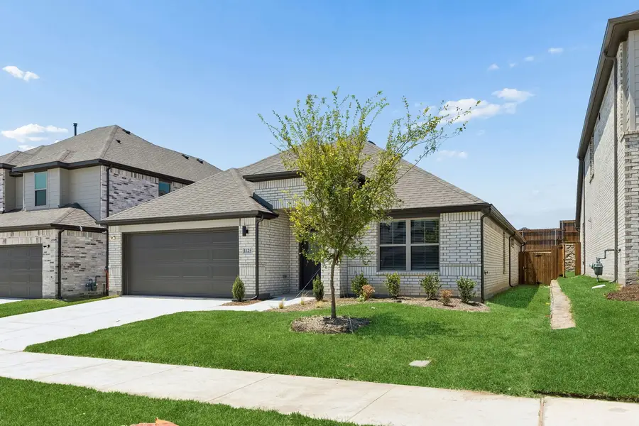 3201 Linden Lane, Gunter, TX 75058 - #2