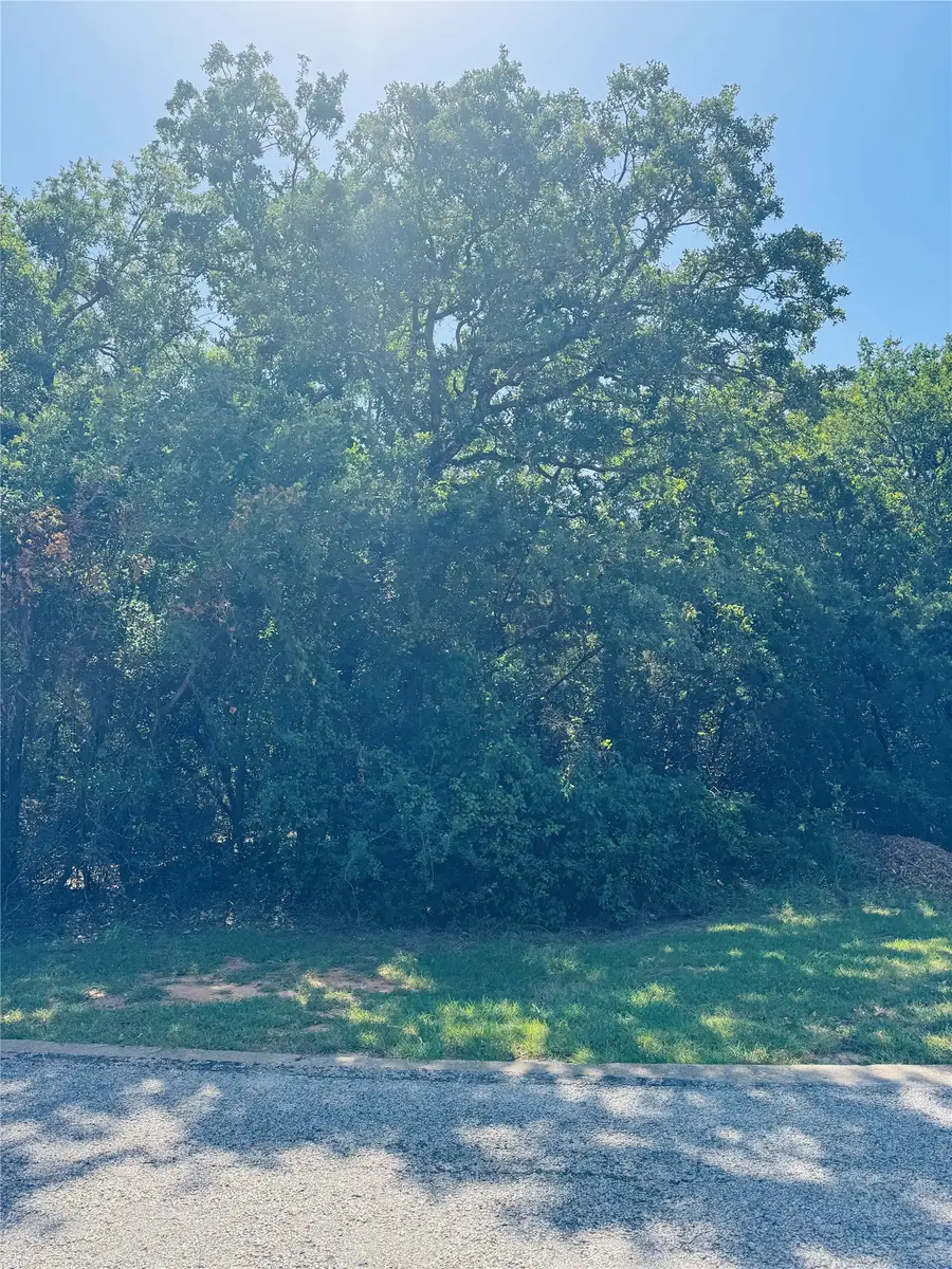 24019 Wood Hollow Drive, Whitney, TX 76692 - #2