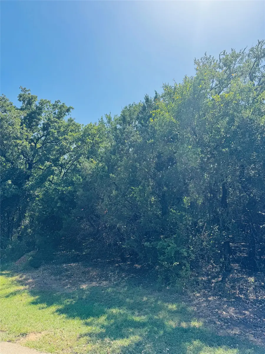24019 Wood Hollow Drive, Whitney, TX 76692 - #3