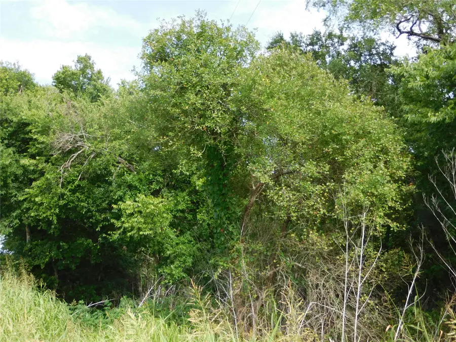 tbd Fm 2114, Hubbard, TX 76648 - #3