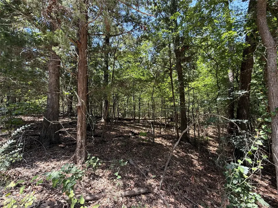 TBD Whispering Pine Trail, Mount Vernon, TX 75457 - #2