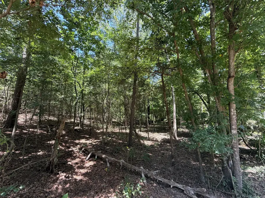TBD Whispering Pine Trail, Mount Vernon, TX 75457 - #3