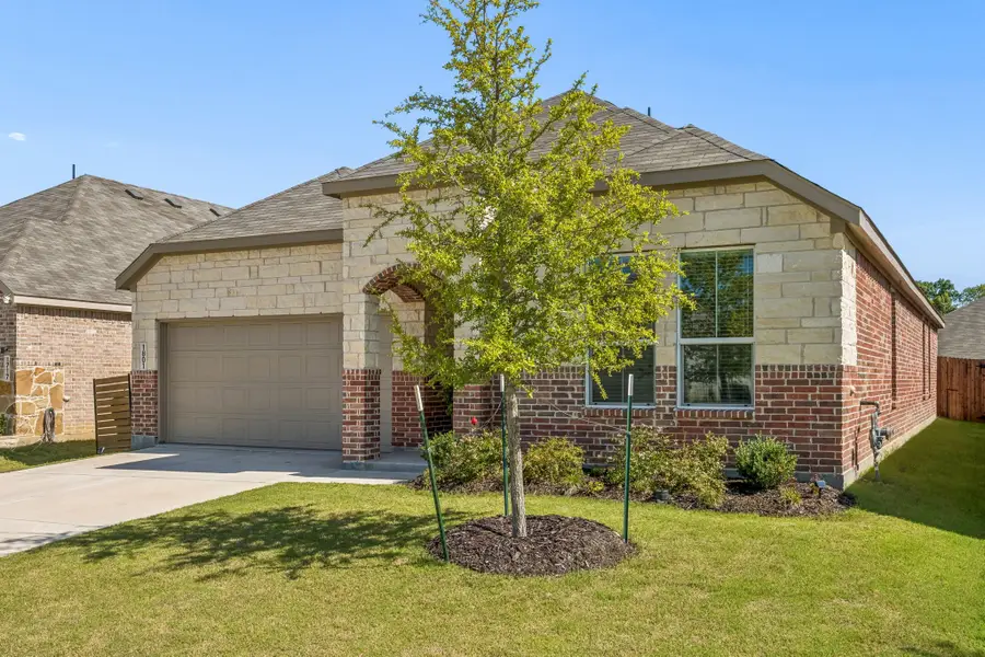1801 Rubber Fig Lane, McKinney, TX 75071 - #2