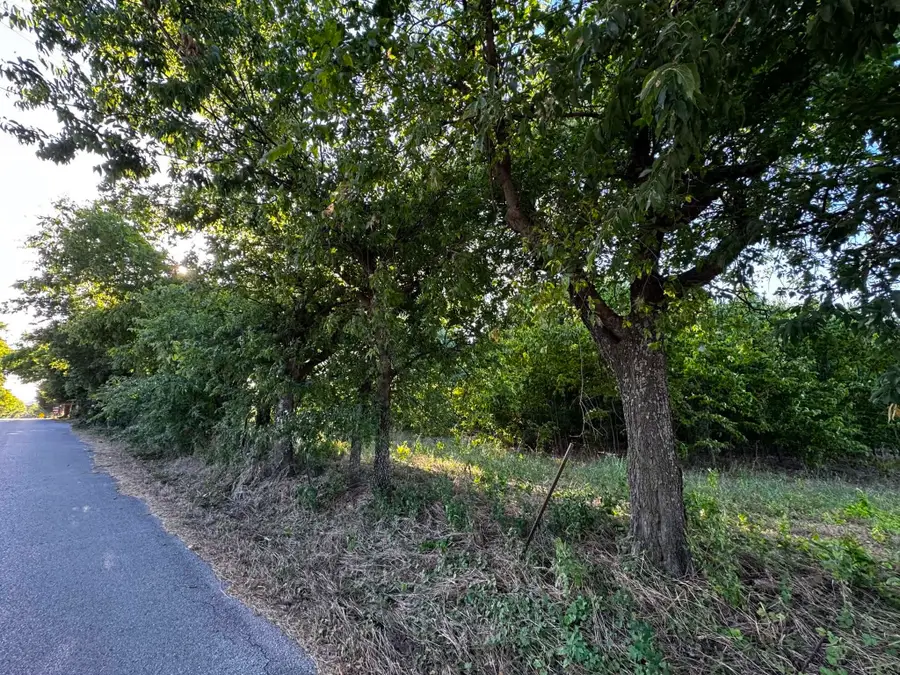 4270 Belz Road, Sanger, TX 76266 - #2