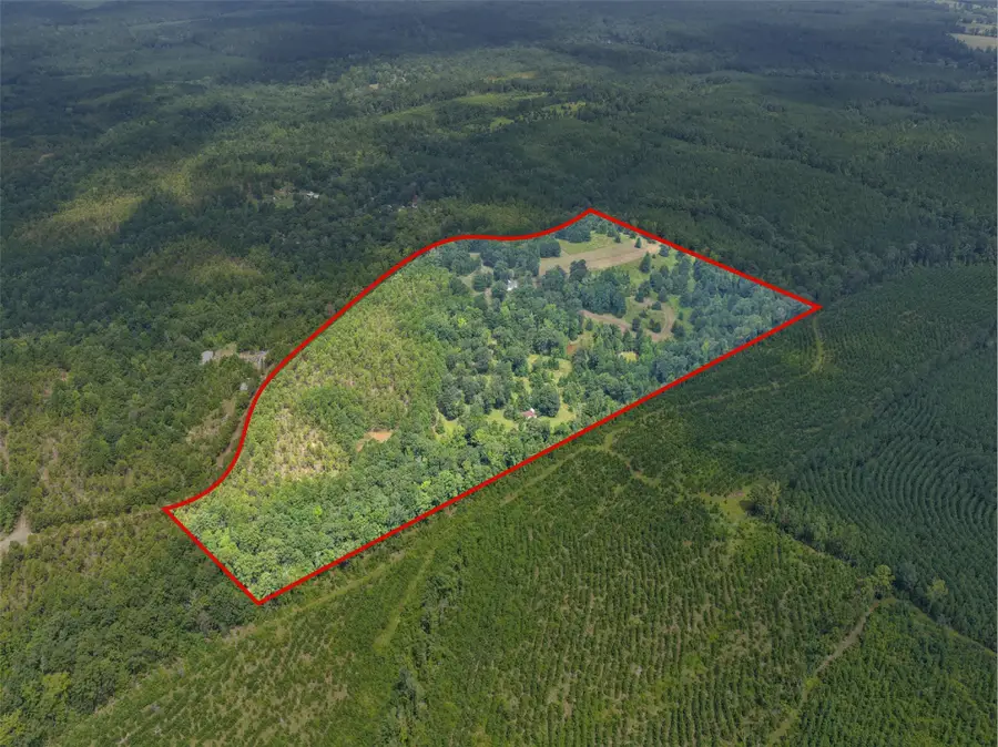 1381 County Road 1763, Linden, TX 75563 - #3