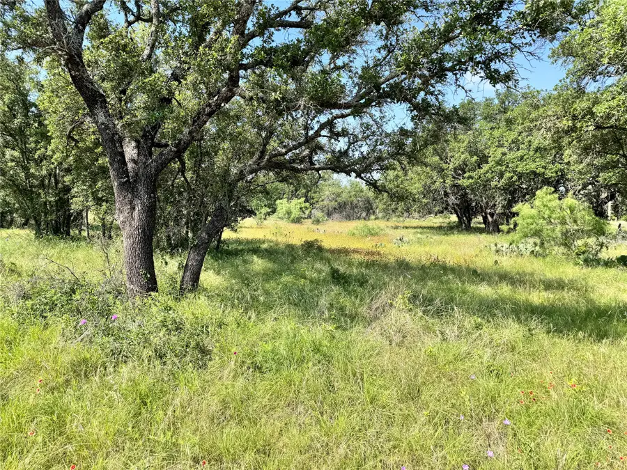 TBD Lot 667 Lanyard Way, Brownwood, TX 76801 - #2