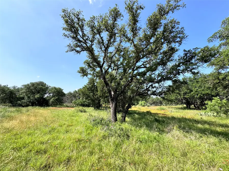 TBD Lot 667 Lanyard Way, Brownwood, TX 76801 - #3
