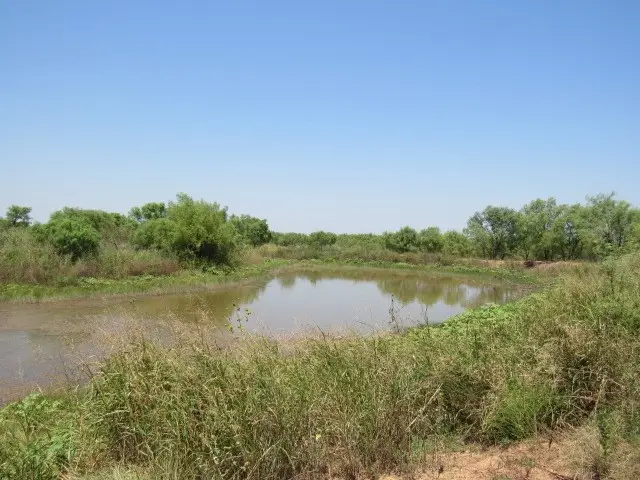 TBD County Road 211, Brookesmith, TX 76827 - #1