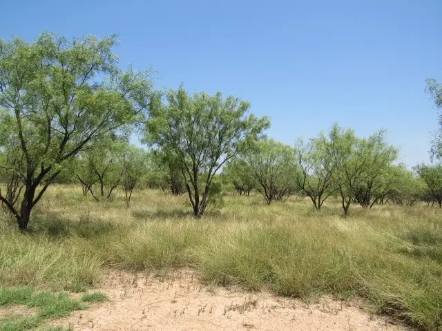 TBD County Road 211, Brookesmith, TX 76827 - #3
