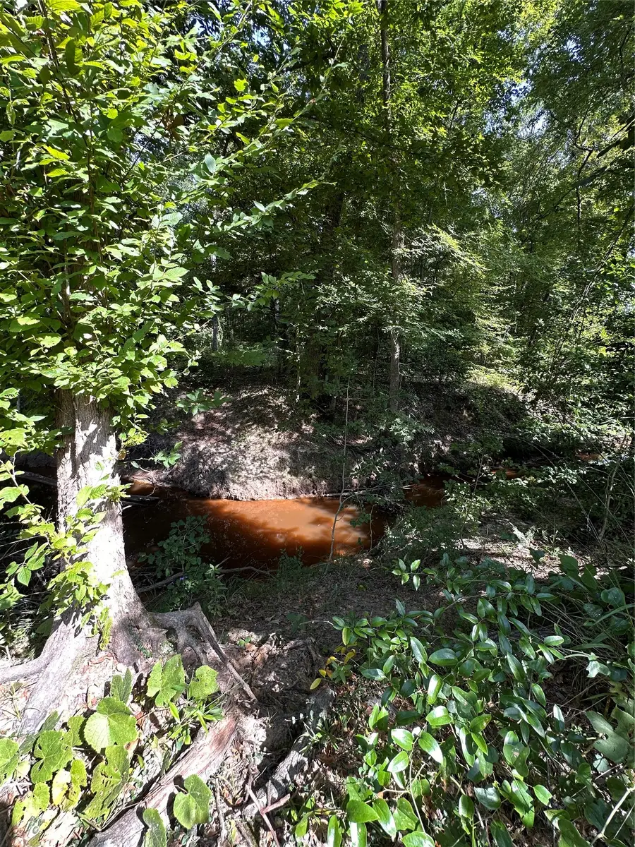 TBD Hwy 259, Ore City, TX 75683 - #3