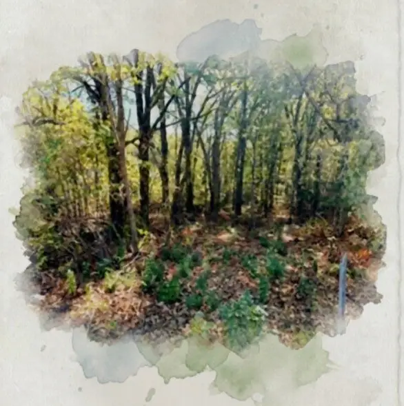 207 Acres Loop, Gun Barrel City, TX 75156