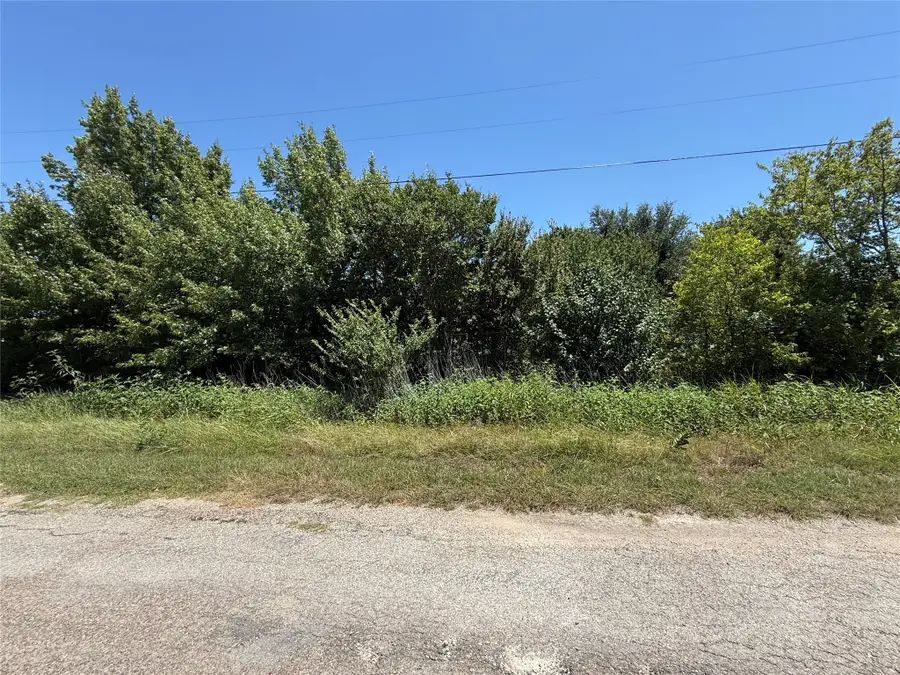 5901 Dove Court, Venus, TX 76084 - #3