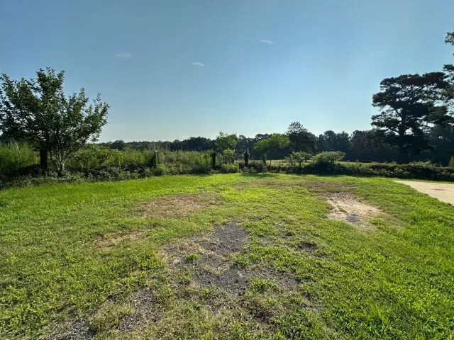 632 County Road 1243, Linden, TX 75563 - #3