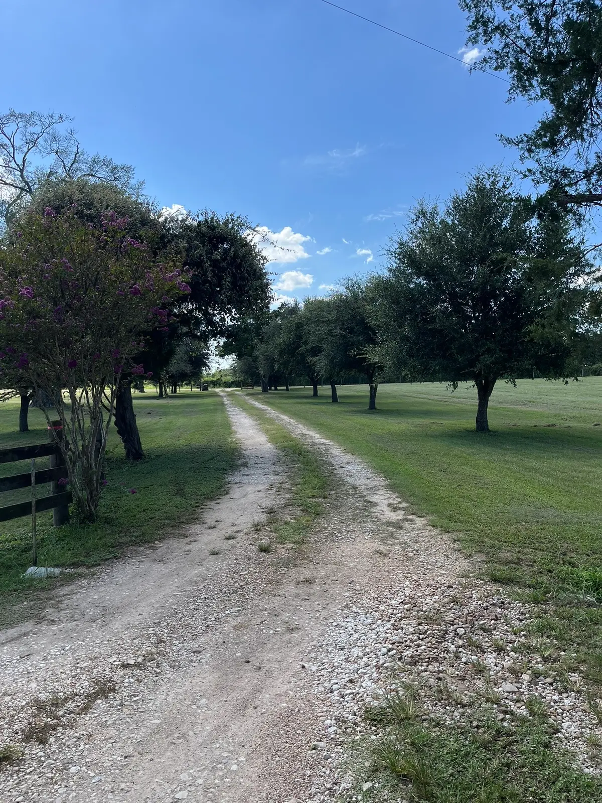 6303 Greenvine Road, Brenham, TX 77833 - #1