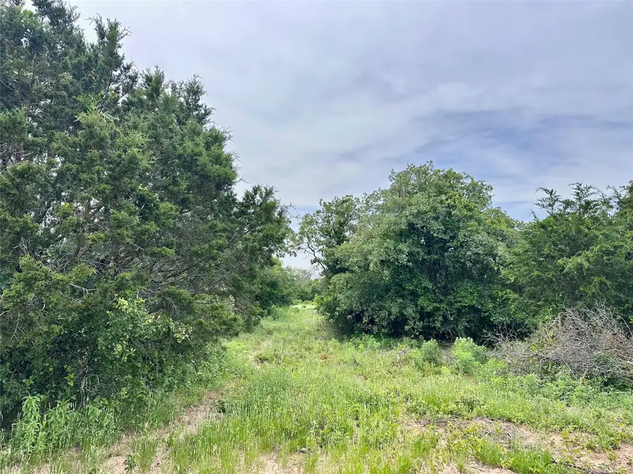 997 Private Road 4691, Baird, TX 79504 - #2