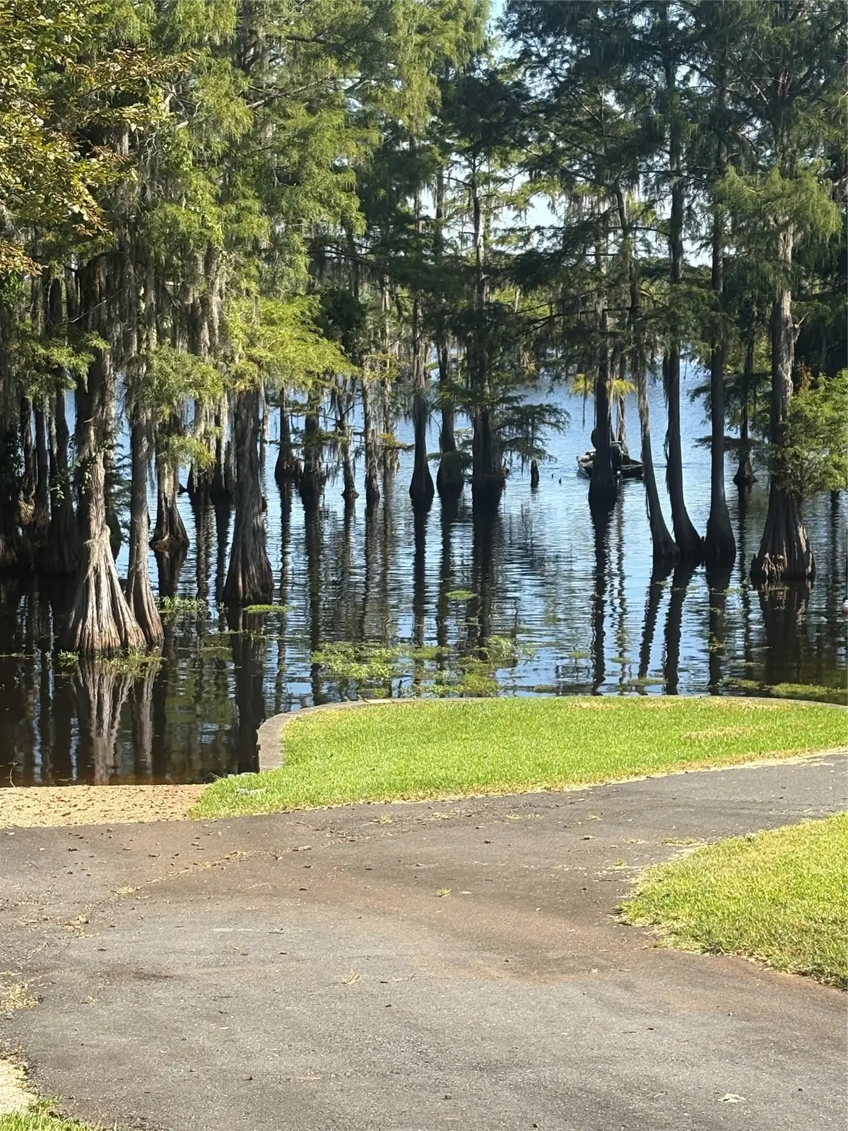 459 Dollie Moore Road, Ringgold, LA 71068 - #1