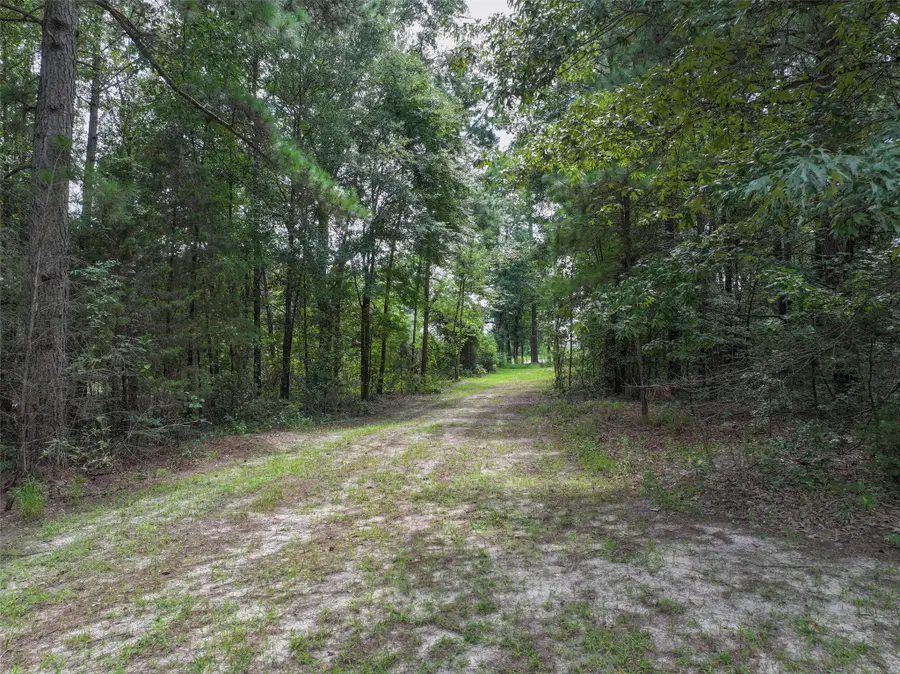 127 S County Road 1001, New Boston, TX 75570 - #3