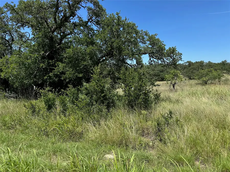 1078 Lake Breeze Drive, Brownwood, TX 76801 - #3
