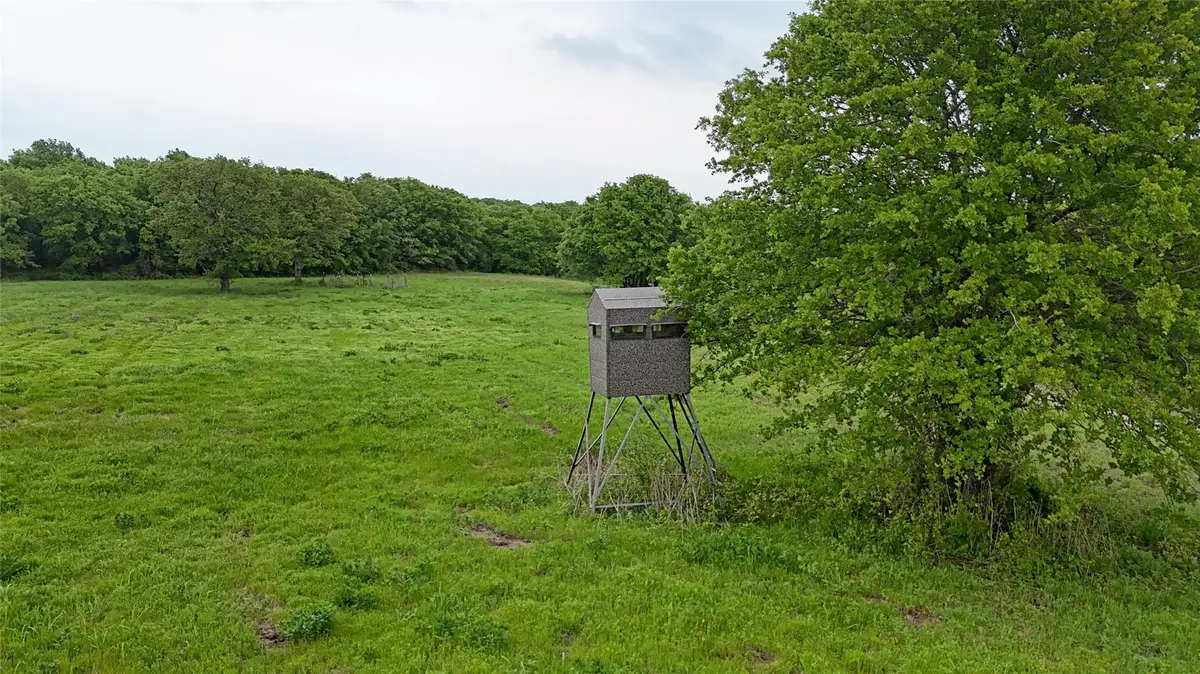 2300 Cobb Hollow Road, Saint Jo, TX 76265 - #1