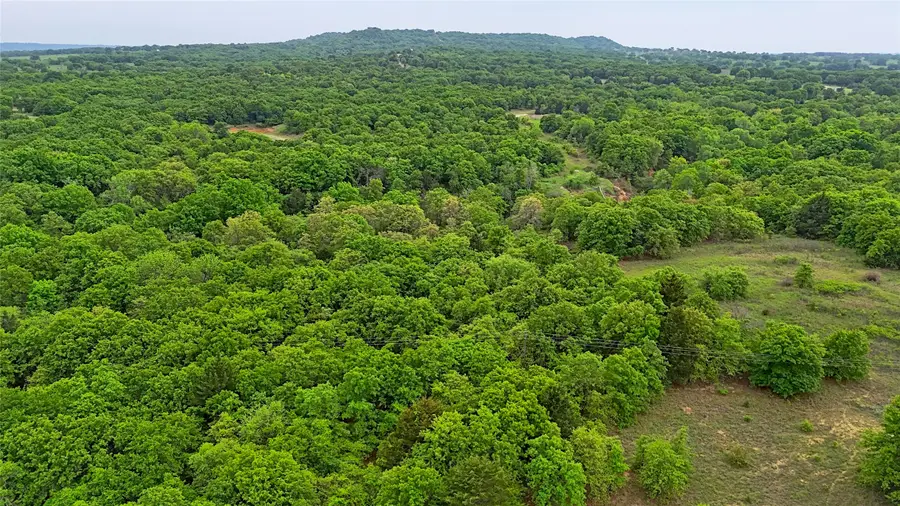 2300 Cobb Hollow Road, Saint Jo, TX 76265 - #2