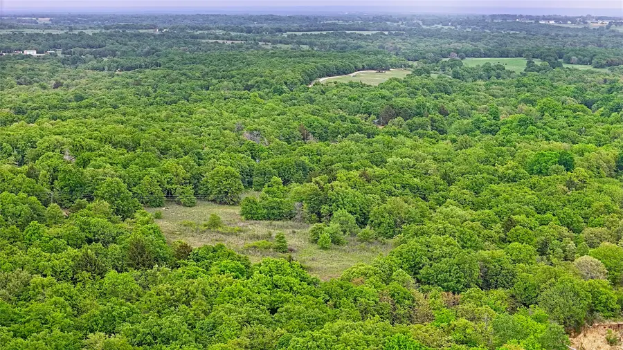 2300 Cobb Hollow Road, Saint Jo, TX 76265 - #3