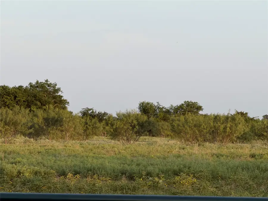 Lot 6 Ne Cr 2160, Kerens, TX 75144 - #2