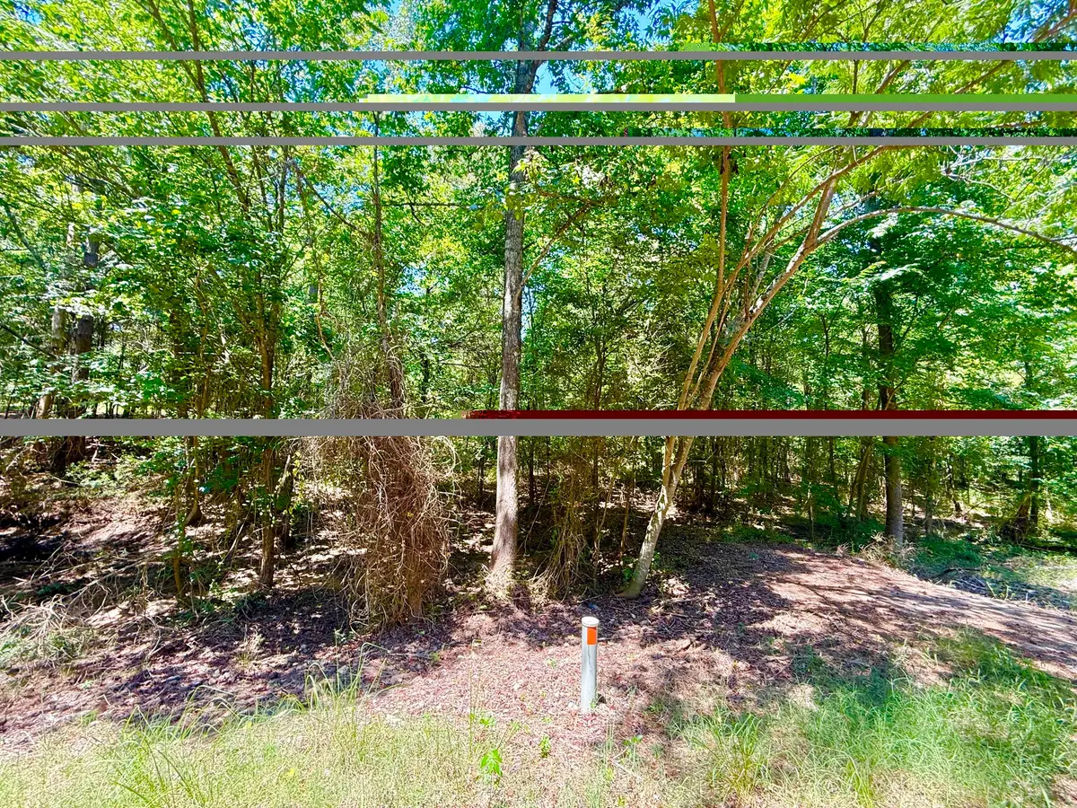 0 Cr 1755, Mount Pleasant, TX 75455 - #1