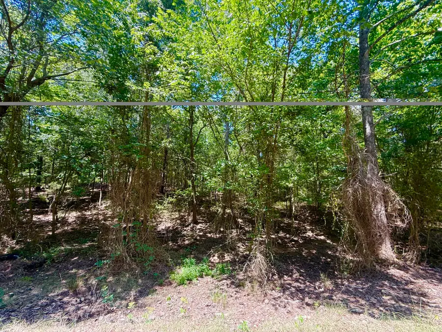 0 Cr 1755, Mount Pleasant, TX 75455 - #2
