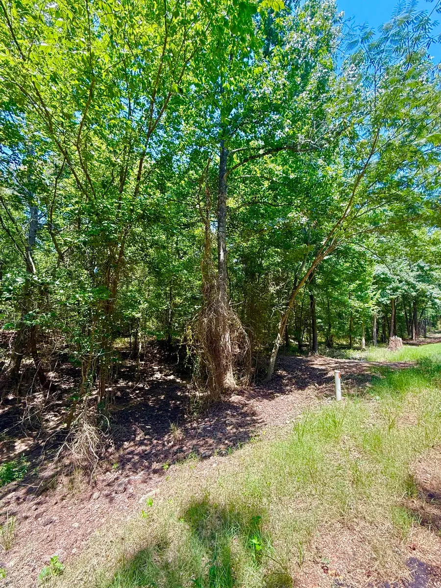 0 Cr 1755, Mount Pleasant, TX 75455 - #3