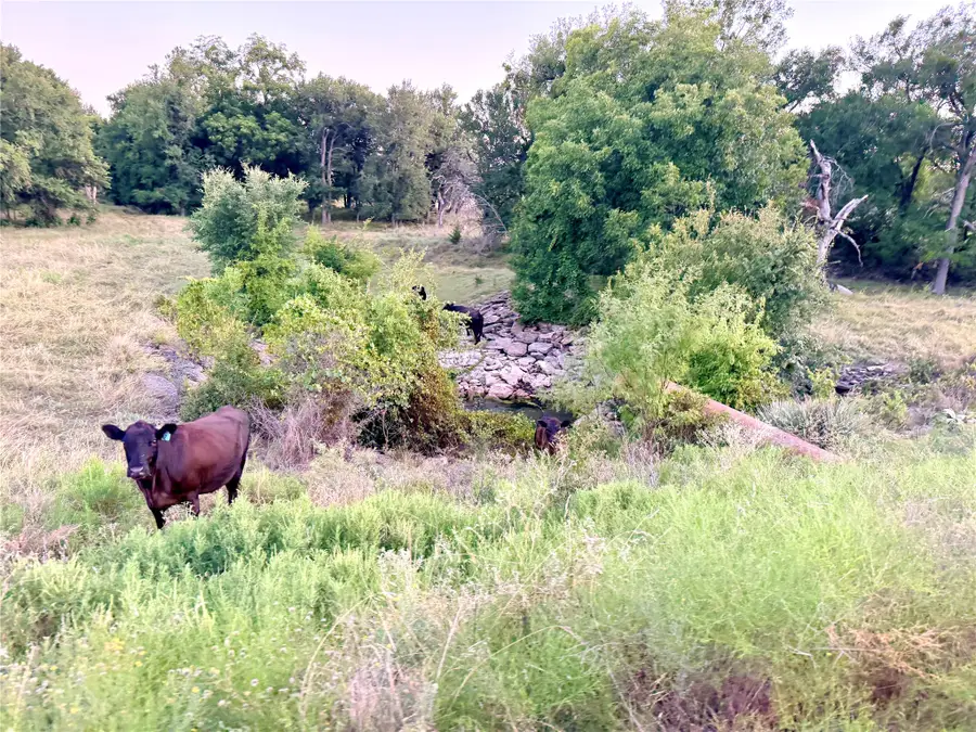130 County Road 120, Goldthwaite, TX 76844 - #2