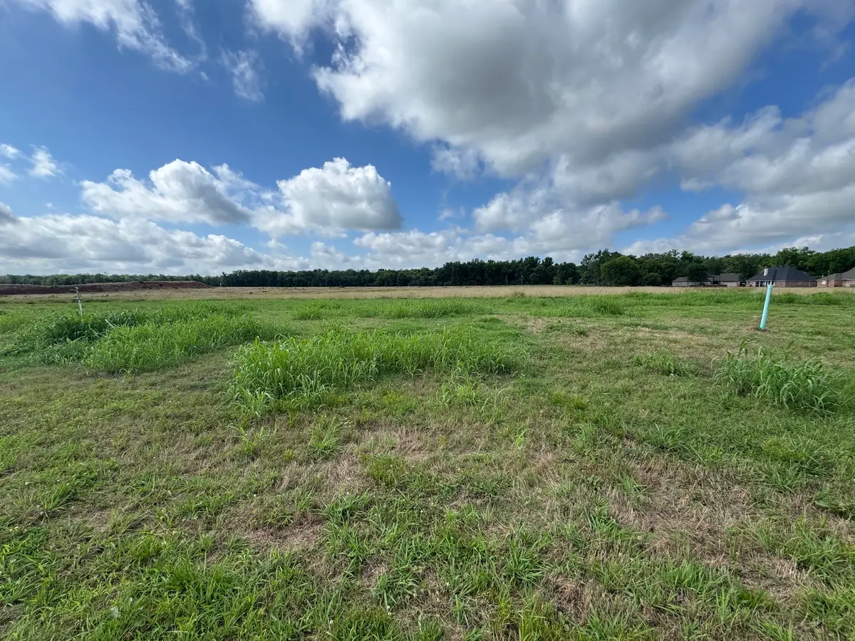746 Duckwater Landing, Bossier City, LA 71111 - #1