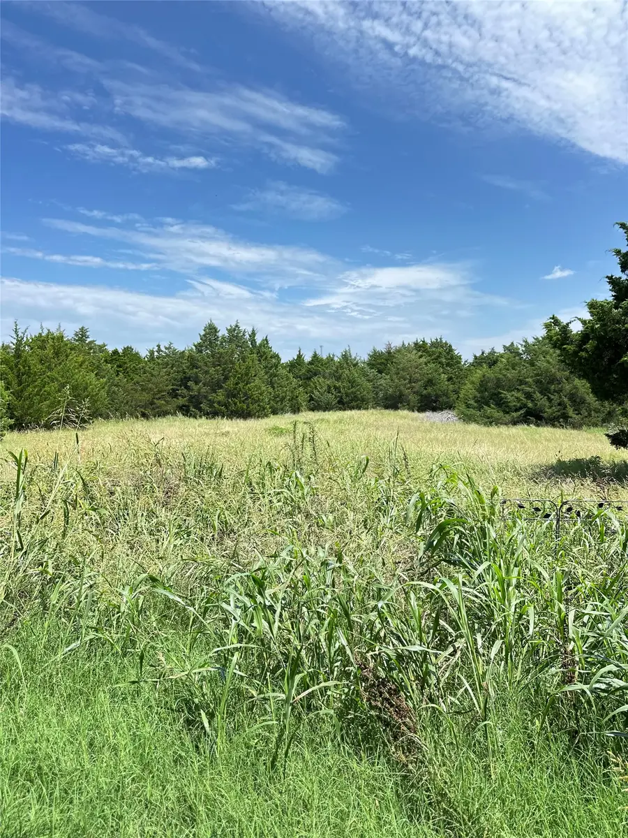 5925 County Road 441, Princeton, TX 75407 - #3